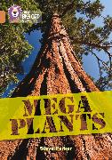 Mega Plants