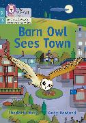 Barn Owl Sees Town