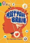 Meet Your Brain