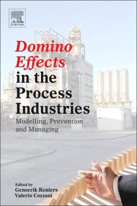 Domino Effects in the Process Industries