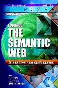 Towards the Semantic Web