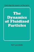 The Dynamics of Fluidized Particles