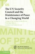 The UN Security Council and the Maintenance of Peace in a Changing World