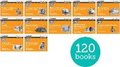 Read Write Inc. Phonics: Orange Set 4 More Black & White Storybooks (Pack of 120)