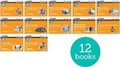 Read Write Inc. Phonics: Orange Set 4 More Black & White Storybooks (Pack of 12)