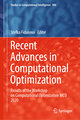 Recent Advances in Computational Optimization