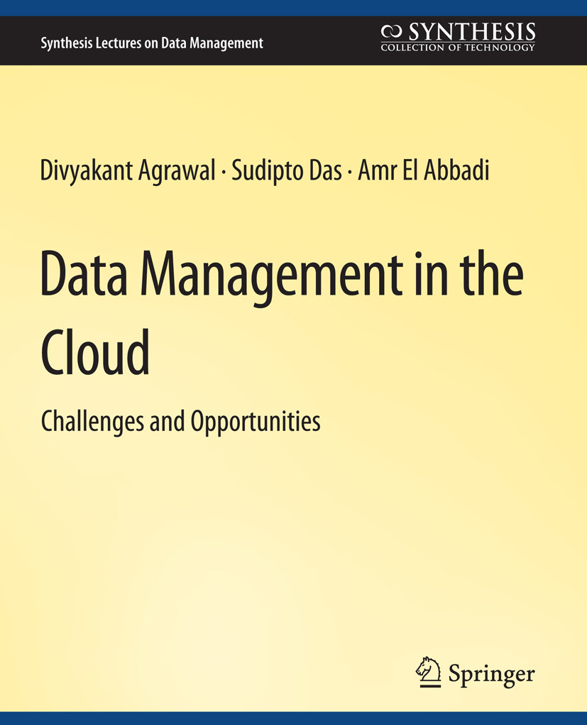 Data Management in the Cloud