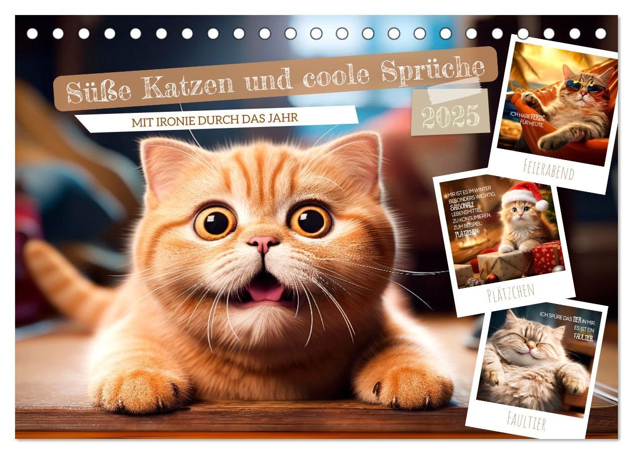 Süße Katzen und coole Sprüche (Tischkalender 2025 DIN A5 quer), CALVENDO Monatskalender