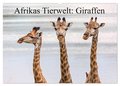 Afrikas Tierwelt: Giraffen (Wandkalender 2025 DIN A2 quer), CALVENDO Monatskalender