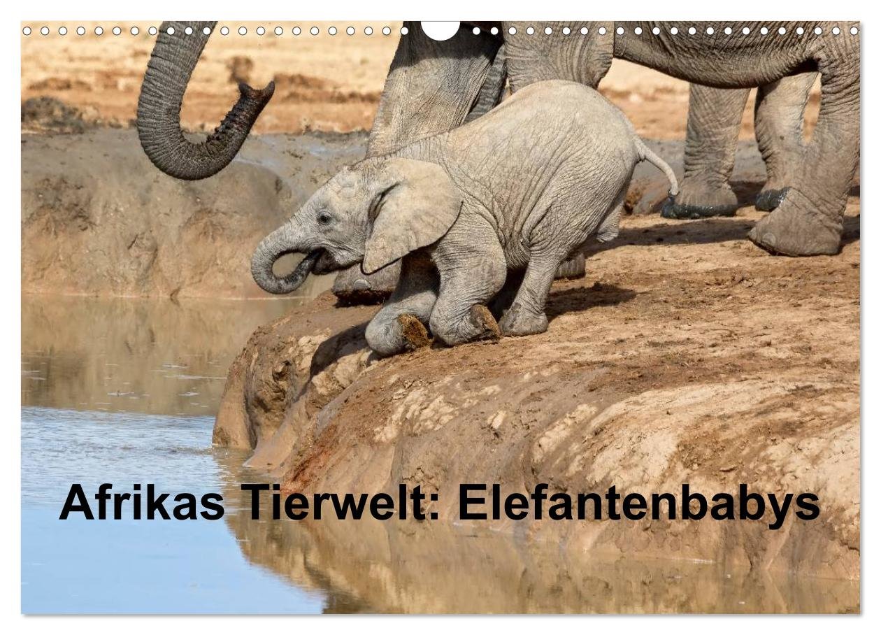 Afrikas Tierwelt: Elefantenbabys (Wandkalender 2025 DIN A3 quer), CALVENDO Monatskalender