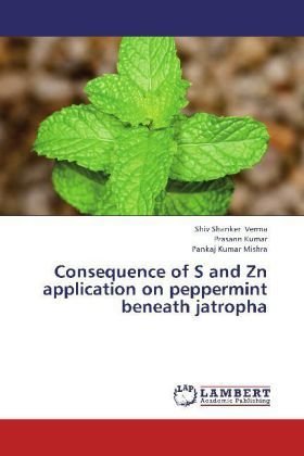 Consequence of S and Zn application on peppermint beneath jatropha