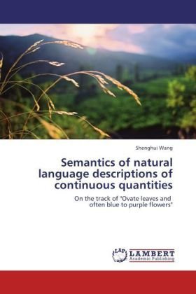 Semantics of natural language descriptions of continuous quantities