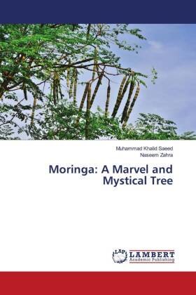 Moringa: A Marvel and Mystical Tree